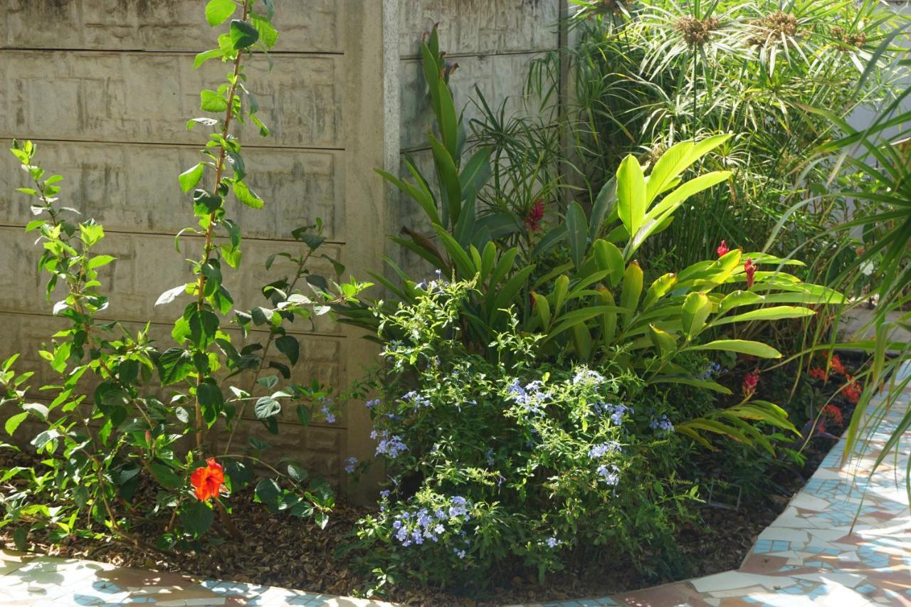 B & B Villa Calliandra Bijilo ภายนอก รูปภาพ